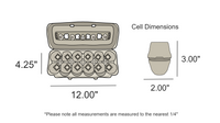 12-Egg Jumbo Printed Carton Dimensions