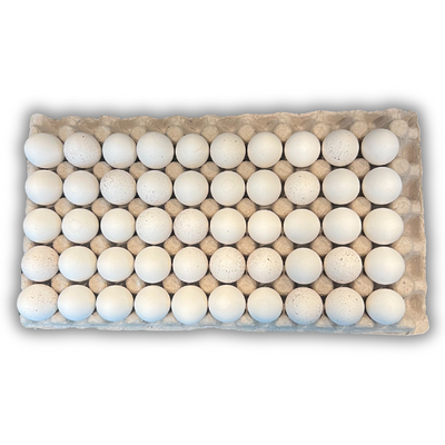 Egg Tray Filler Flat 50-Egg Button Quail filled with eggs