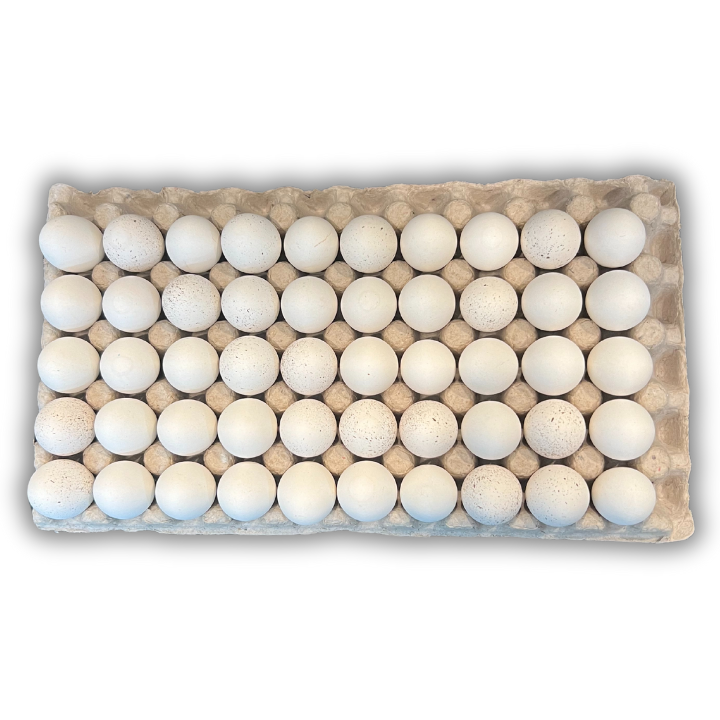 Egg Tray Filler Flat 50-Egg Button Quail filled with eggs