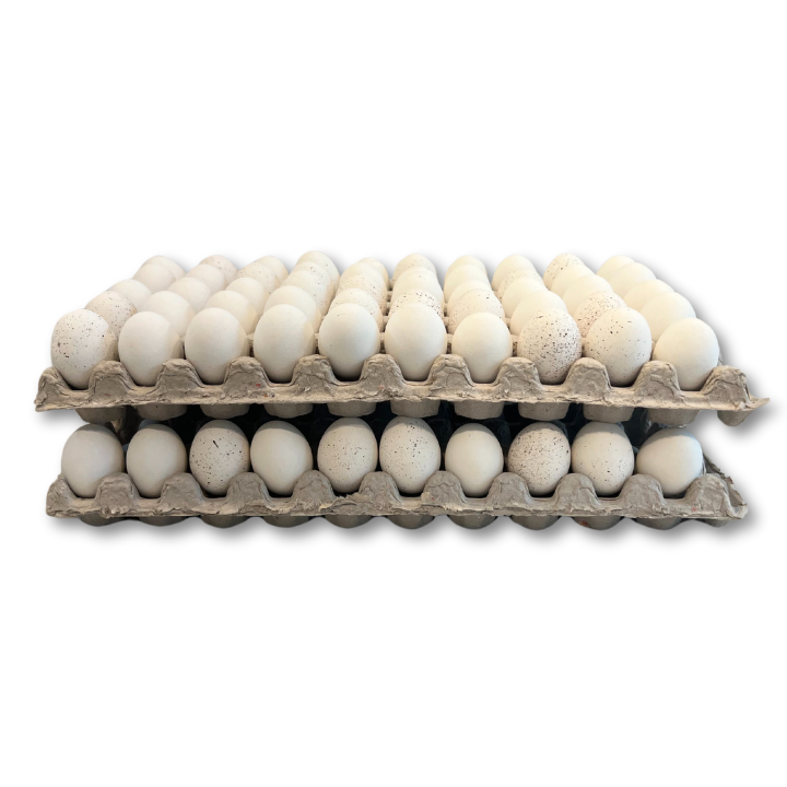 Egg Tray Filler Flat 50-Egg Button Quail filled with eggs stacked