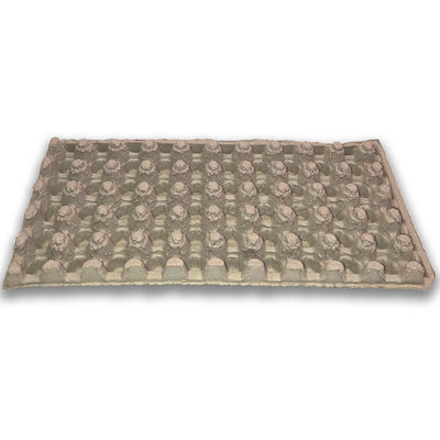 Egg Tray Filler Flat top view, Egg Crate, Pulp 50 Button Quail Cell, bulk