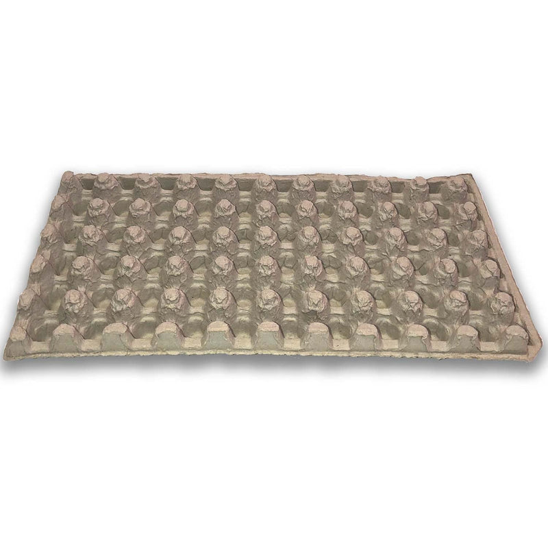 Egg Tray Filler Flat top view, Egg Crate, Pulp 50 Button Quail Cell, bulk