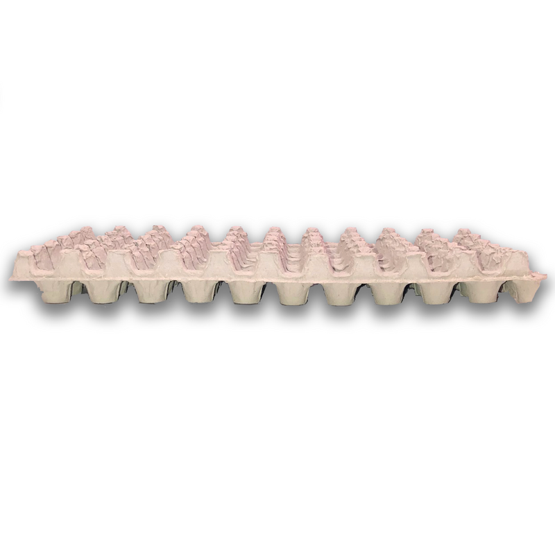 Egg Tray Filler Flat side view, Egg Crate, Pulp 50 Button Quail Cell