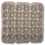 top view 20 cell, natural paper pulp flat, filler, tray