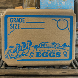 12 egg vintage printed paper pulp carton, one dozen eggs