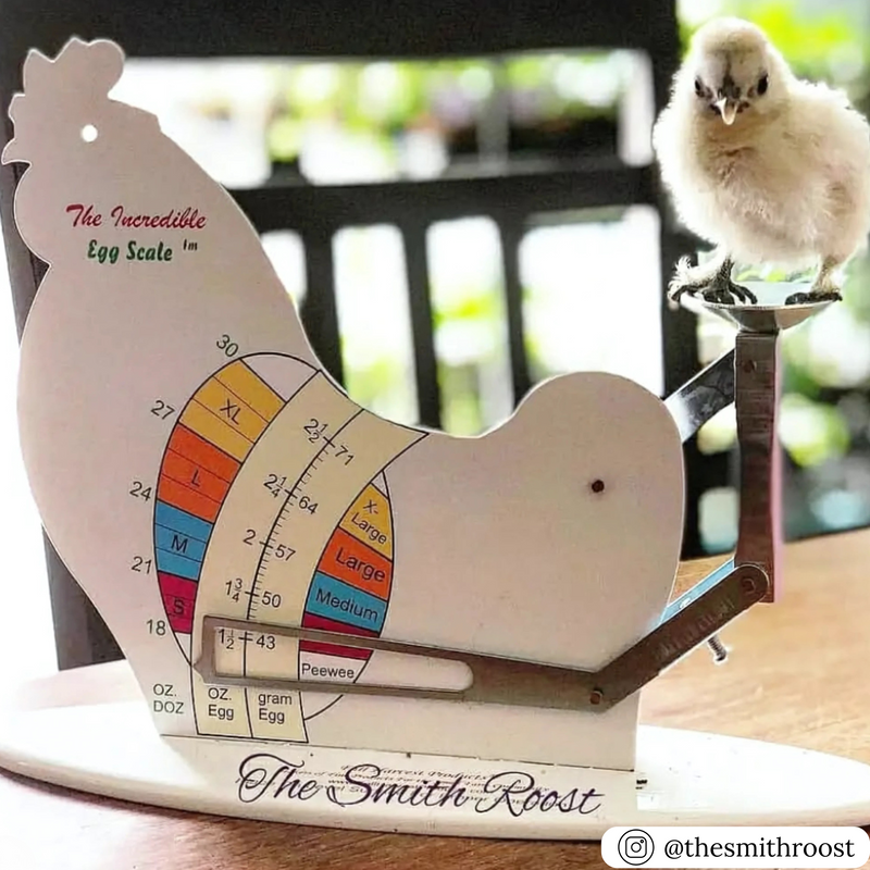 Incredible egg scale for weighing eggs