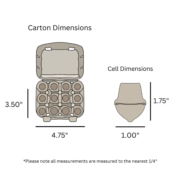 12 egg quail carton dimensional drawing
