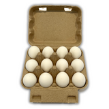 Flat Top Bird Egg Carton - Holds one dozen - Bulk Pricing
