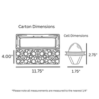 12-Egg Tri Fold Dimensions