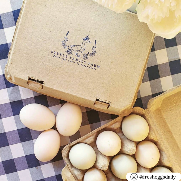 Vintage Egg Cartons, 12-Egg Blank –