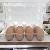 Clear plastic 12-egg carton, unlabeled, lifestyle photo