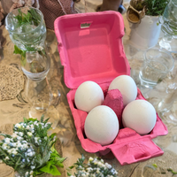 4-Egg Hot Pink carton lifestyle photo