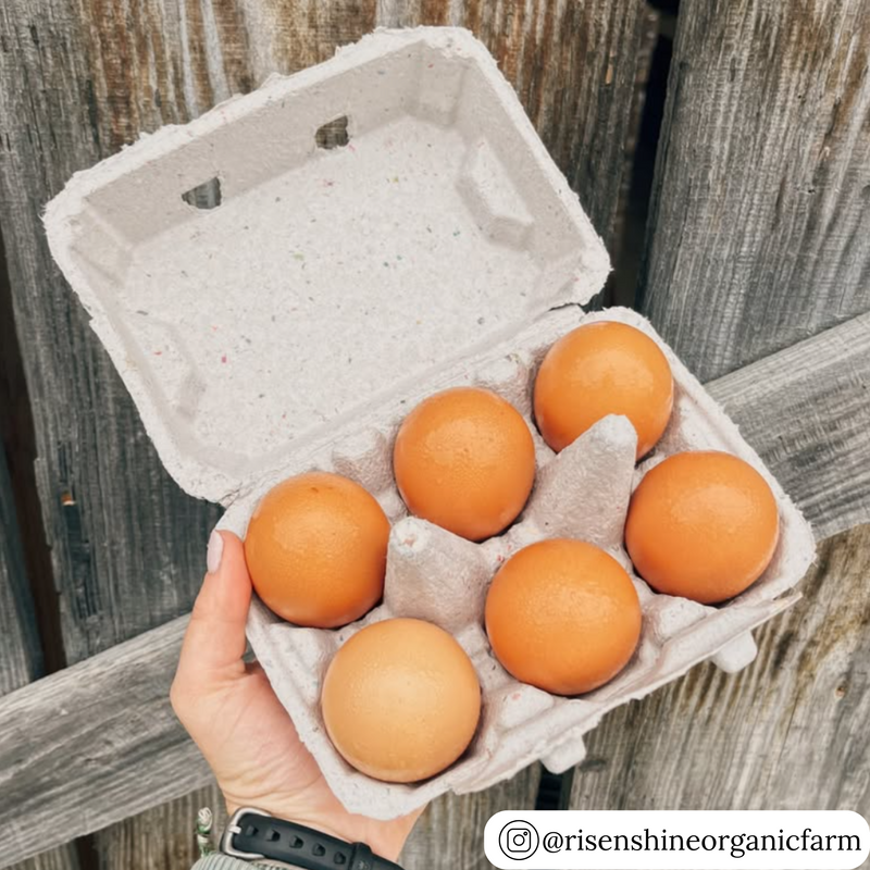 6-egg carton in natural unprinted pulp