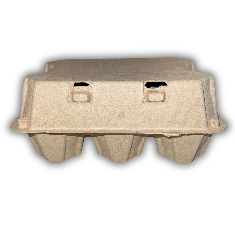 Pulp 6-egg carton for duck eggs, front view, natural color