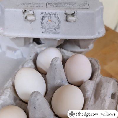 6-egg carton in natural recyclable pulp, for duck eggs, wholesale egg packaging
