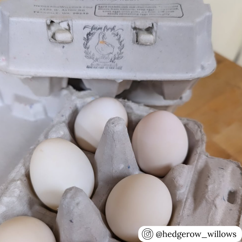 6-egg carton in natural recyclable pulp, for duck eggs, wholesale egg packaging
