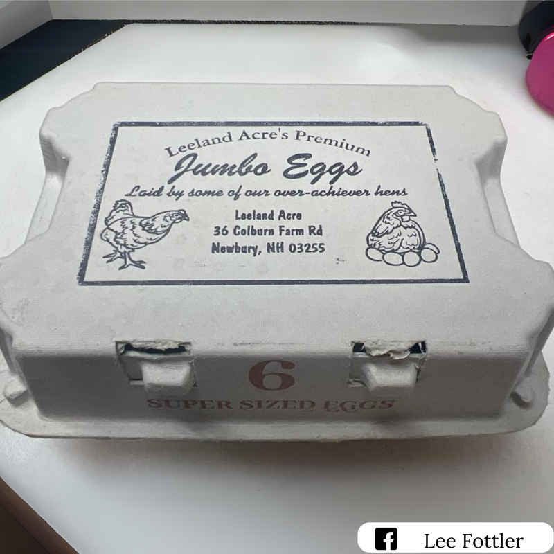 Blank pulp 6-egg carton custom printed packaging