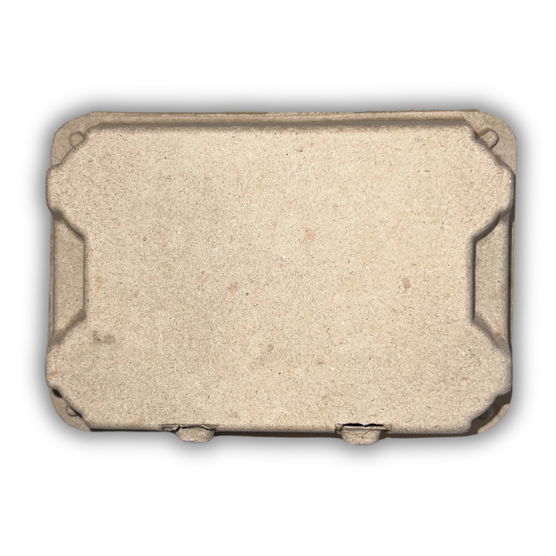 Pulp natural 6-egg carton for duck eggs, top view