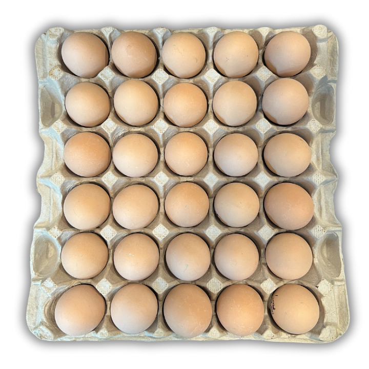 Egg Tray Filler Flat 30-Cell filled with eggs 