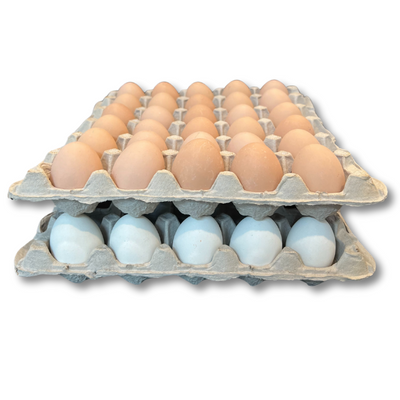 Egg Tray Filler Flat 30-Cell filled with eggs stacked