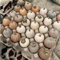 A natural paper pulp 30-cell egg tray used for mini pumpkin fall decorations. 