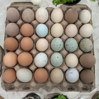 A natrual pulp 30-cell egg tray filled with multi-colored eggs