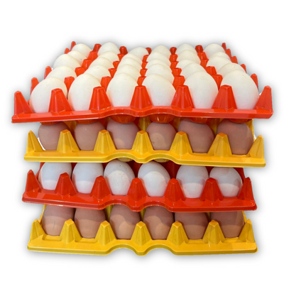 Egg Tray Filler Flat 30-Cell Multi-Pack filled with eggs stacked