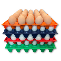 30-Cell Stackable Multi-Pack stacked with eggs