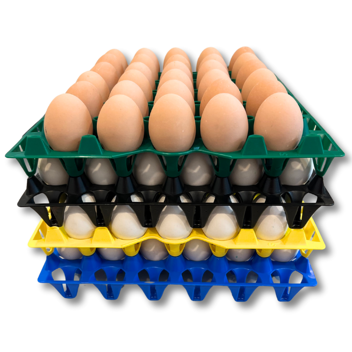 Egg Tray Filler Flat 30-Cell Washable Multi-Pack stacked