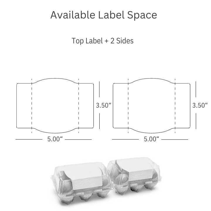 Plastic 6-Egg Unlabeled Egg Carton – EggCartons.Com