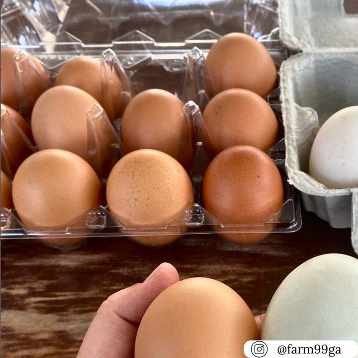 18-Egg Unlabeled Plastic Egg Carton