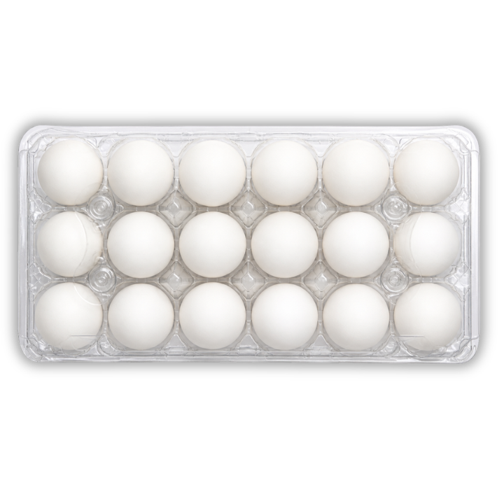18-Egg Unlabeled Plastic Egg Carton