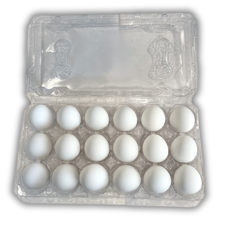 18-Egg Unlabeled Plastic Egg Carton