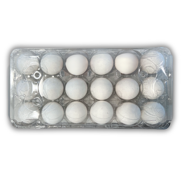 18-Egg, Ovotherm top view