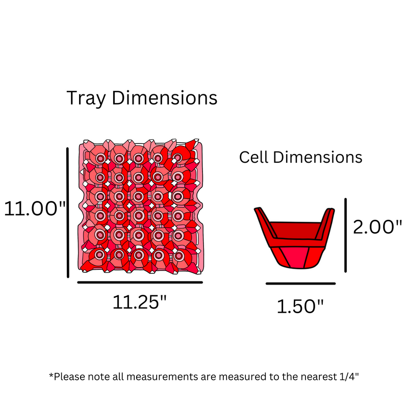 Egg Tray Filler Flat digital rendering, red plastic egg tray dimensons