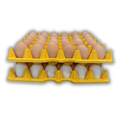 Egg Tray Filler Flat 30-Cell - Yellow filled with eggs stacked