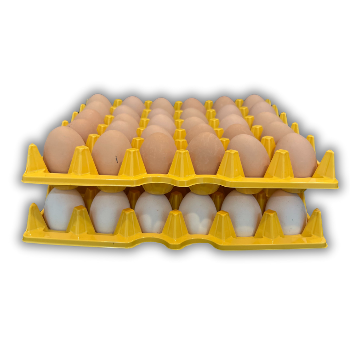 Egg Tray Filler Flat 30-Cell - Yellow filled with eggs stacked