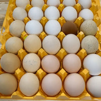 A close up image of a yellow plastic 30-cell egg tray