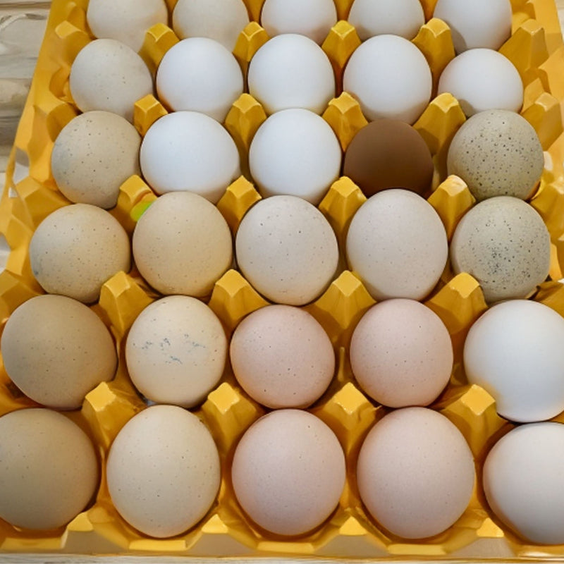 Egg Tray Filler Flat A close up image of a yellow plastic 30-cell egg tray