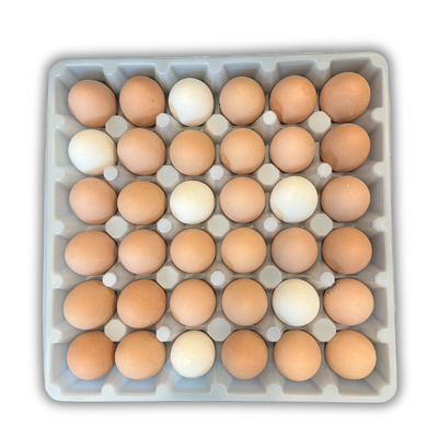 Egg Tray Filler Flat 36-Egg White filled with eggs