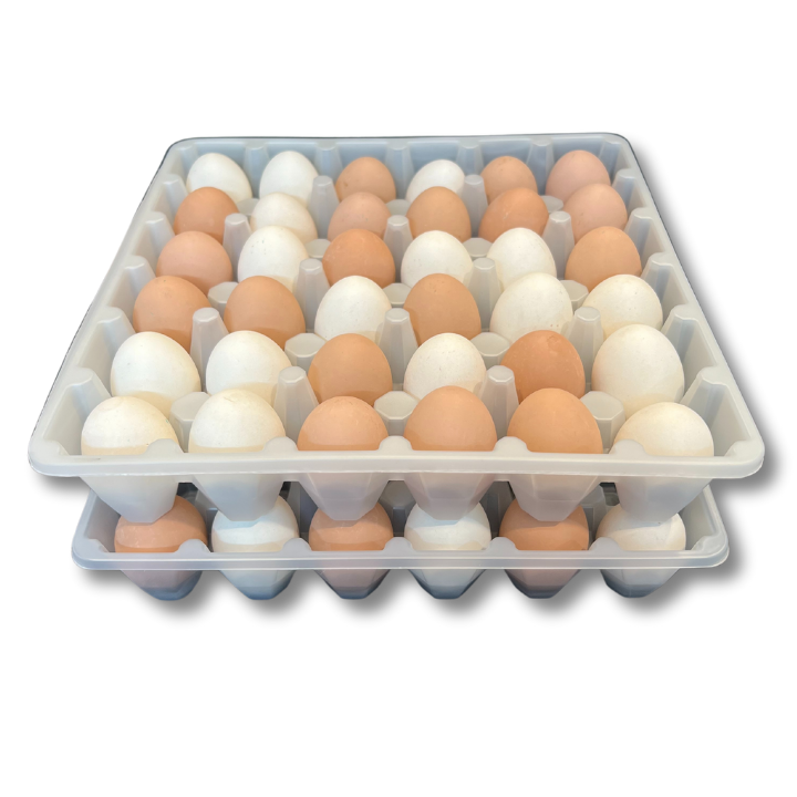 Egg Tray Filler Flat 36-Egg White filled with eggs stacked