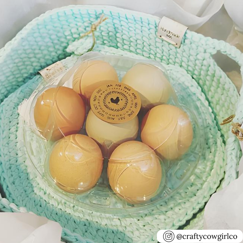Round plastic 6-cell egg carton, unlabeled, bulk wholesale packaging