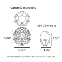 digital rendering, 6-egg starpack carton dimensions