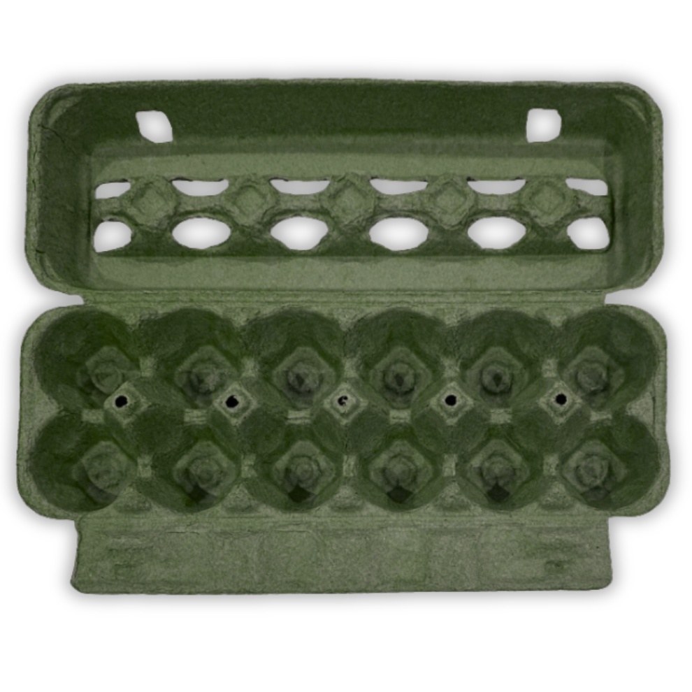 12-Egg Carton Army Green