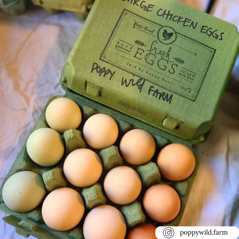 3x4 vintage pulp army green egg carton with custom printing