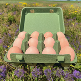 A 12-egg army green vintage pulp egg carton 3x4 cell with 12 brown eggs in it. Carton is sitting in a field of wild flowers.