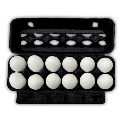 2x6 egg carton packaging for small and commercial farming, unique color