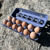 A dark blue openstock pulp 12-egg carton filled with brown eggs sitting on a rock
