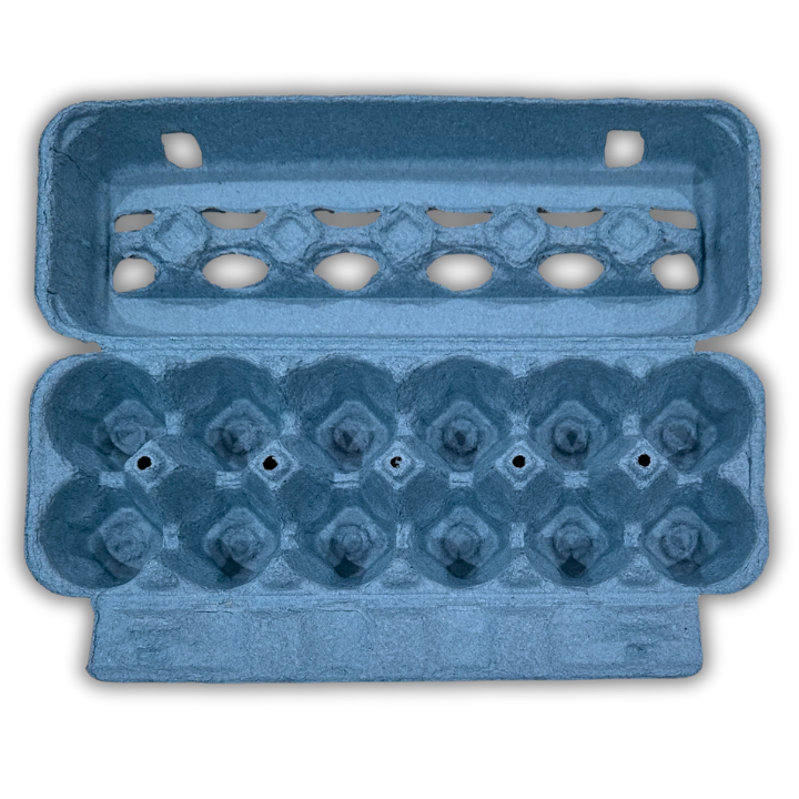 Open View Egg Cartons, Blue - Wholesale