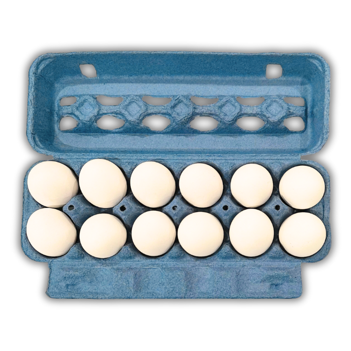 One Dozen Blue Open-View Egg Cartons - In bulk, blank
